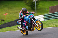 cadwell-no-limits-trackday;cadwell-park;cadwell-park-photographs;cadwell-trackday-photographs;enduro-digital-images;event-digital-images;eventdigitalimages;no-limits-trackdays;peter-wileman-photography;racing-digital-images;trackday-digital-images;trackday-photos